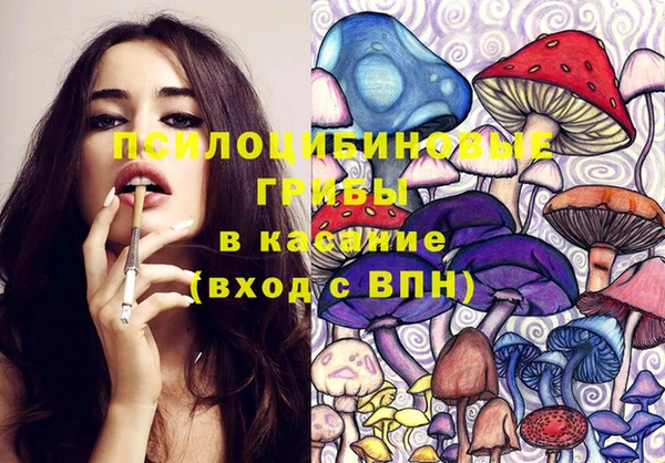 прущий лед Няндома