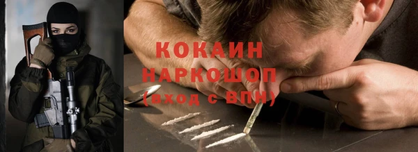 сатива Новокубанск