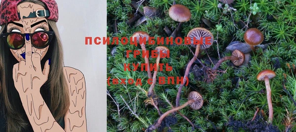 мяу мяу кристалл Нягань