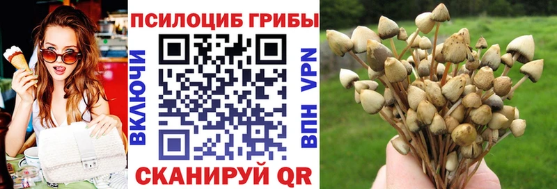 Псилоцибиновые грибы мухоморы  Ряжск 